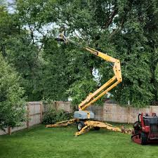 Best Commercial Tree Removal  in Gladeville, TN