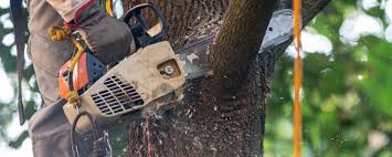 Best Tree Mulching Services  in Gladeville, TN