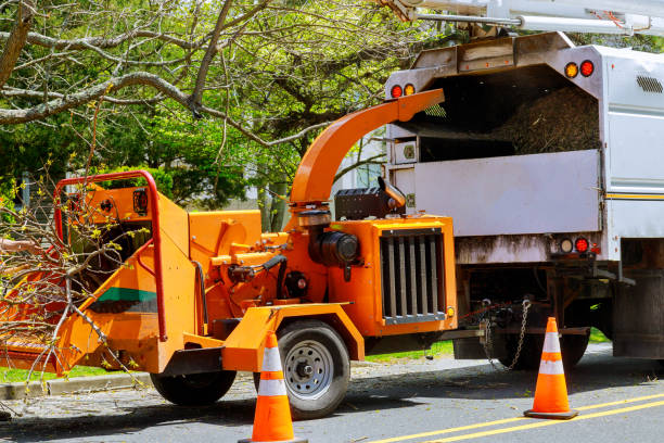 Best Utility Line Clearance  in Gladeville, TN